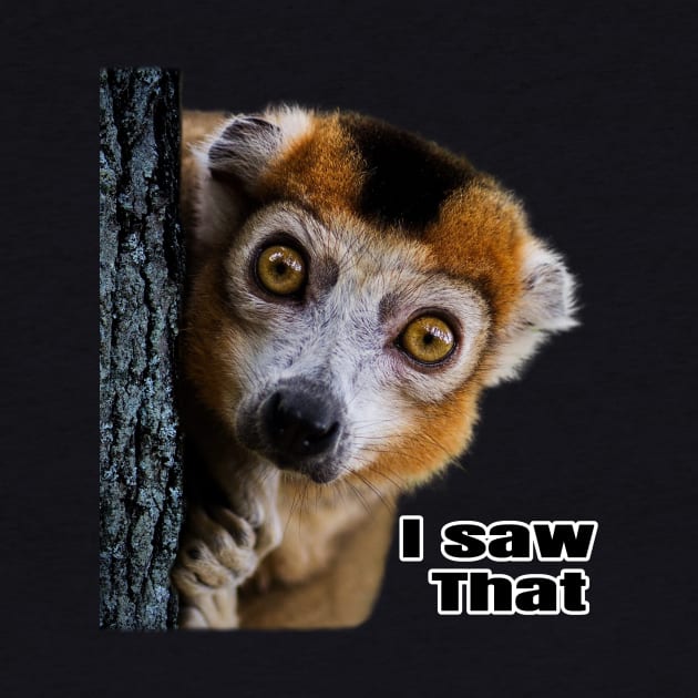 I saw that lemur by Zimart